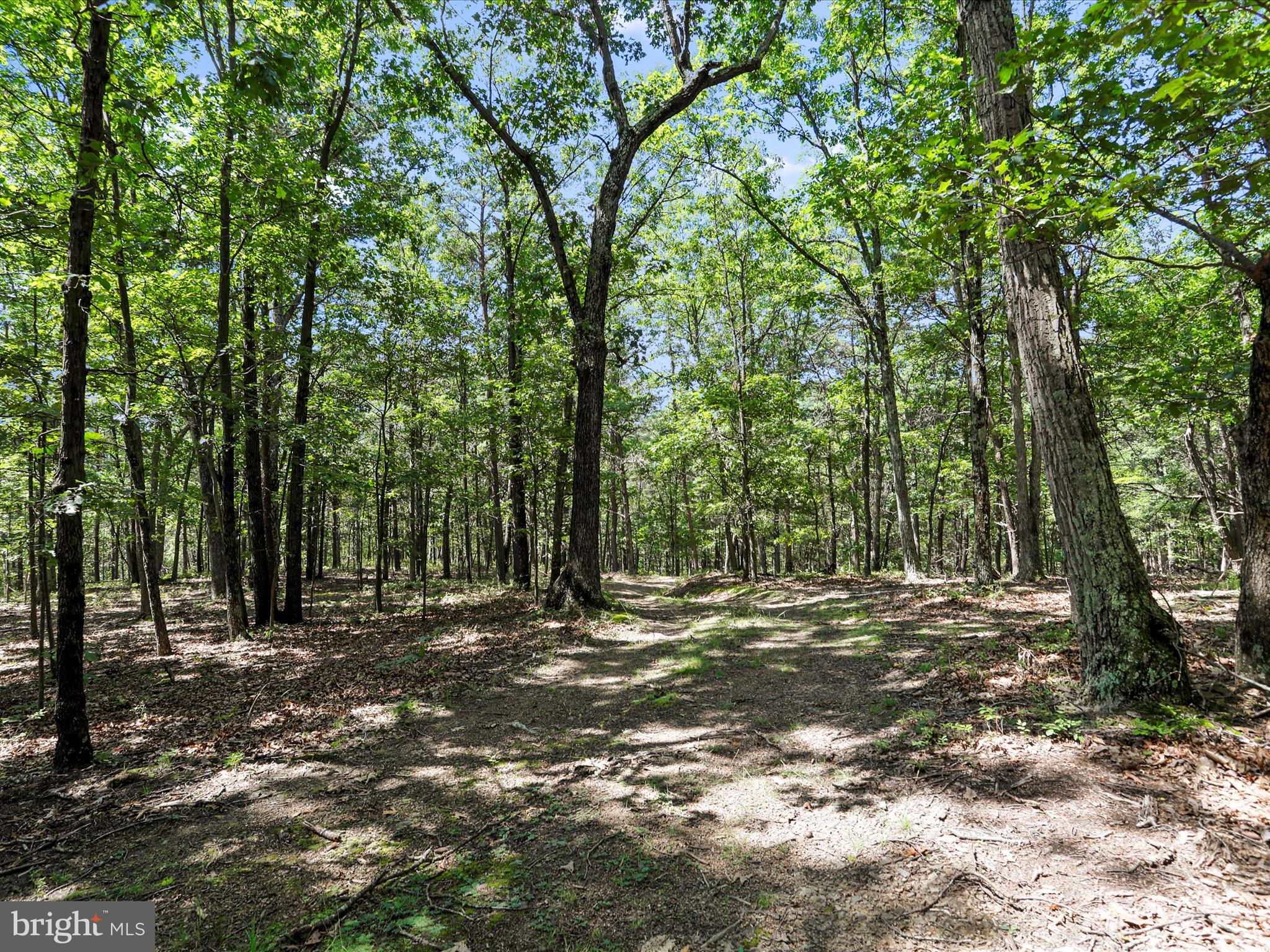 2180 Old Smith Farm Road Springfield, WV 26763 - Photo 23 of 24 a view of outdoor space with trees