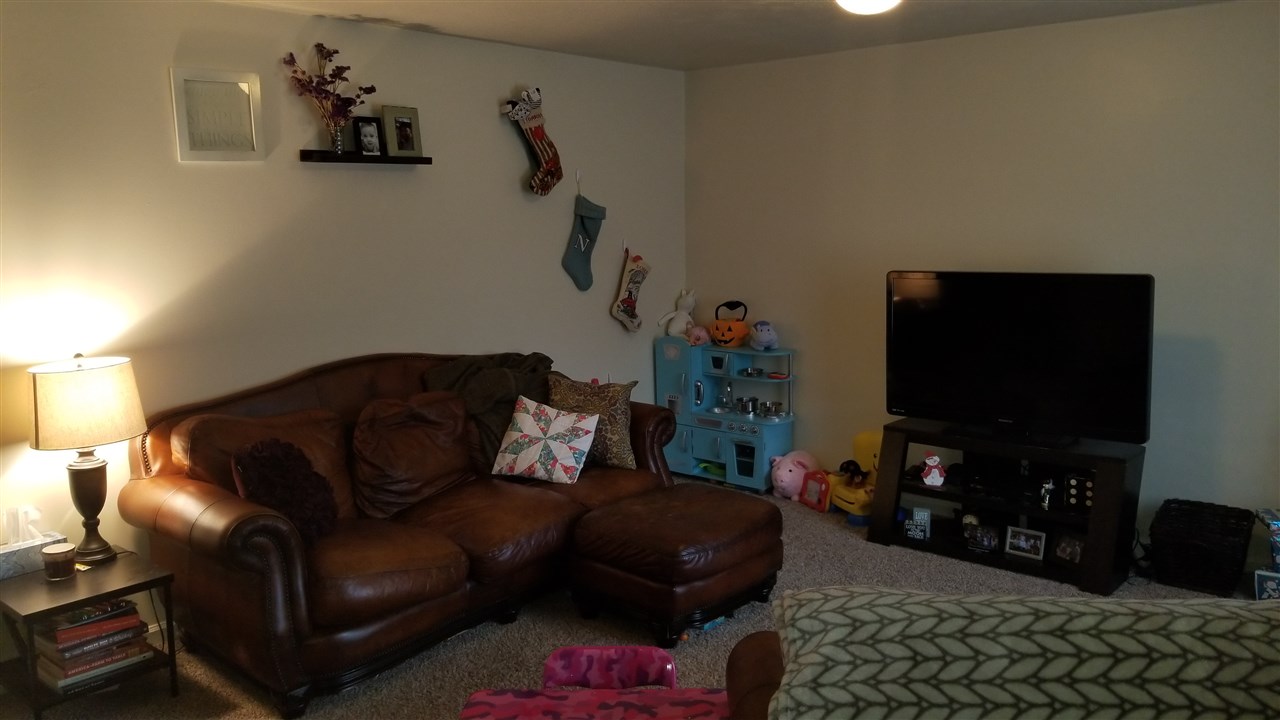 1403 East Rutherford Street Landrum, SC 29356 - Photo 5 of 18