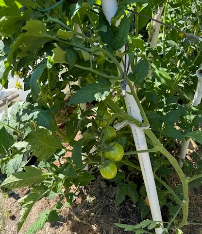 $199,900 | 363 Swanville Road, Frankfort, ME 04438