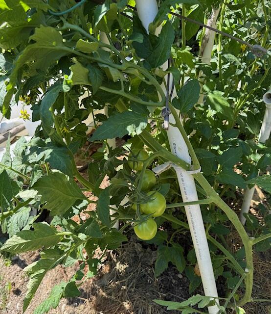 363 Swanville Road Frankfort, ME 04438 - Photo 10 of 27 IMG_2352