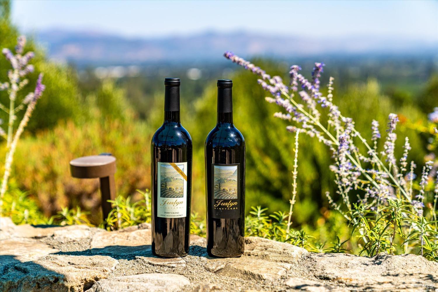 2900 Spring Mountain Road St. Helena, CA 94574 - Photo 45 of 60