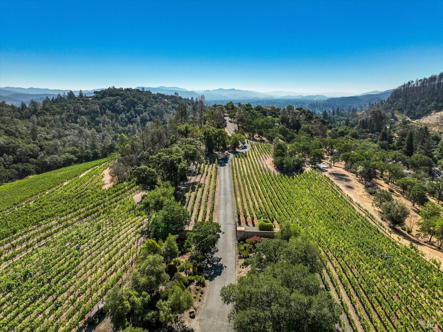 2900 Spring Mountain Road St. Helena, CA 94574 - Photo 47 of 60