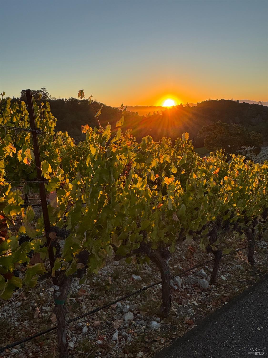 2900 Spring Mountain Road St. Helena, CA 94574 - Photo 55 of 60