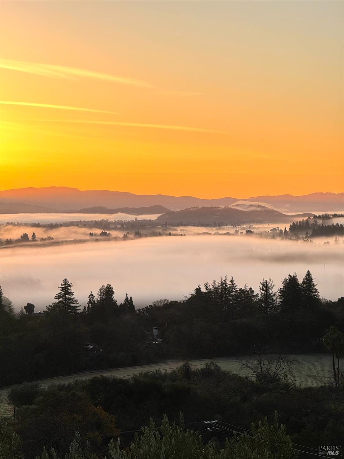 2900 Spring Mountain Road St. Helena, CA 94574 - Photo 56 of 60