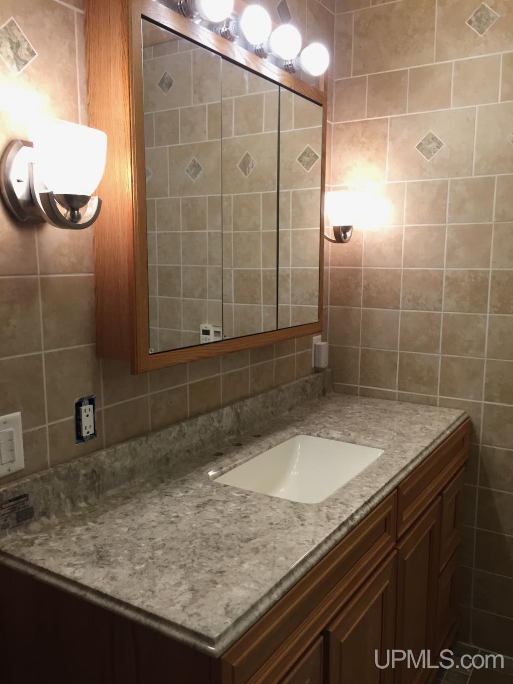 1167 Hayball Road Jackson, MI 49201 - Photo 8 of 16