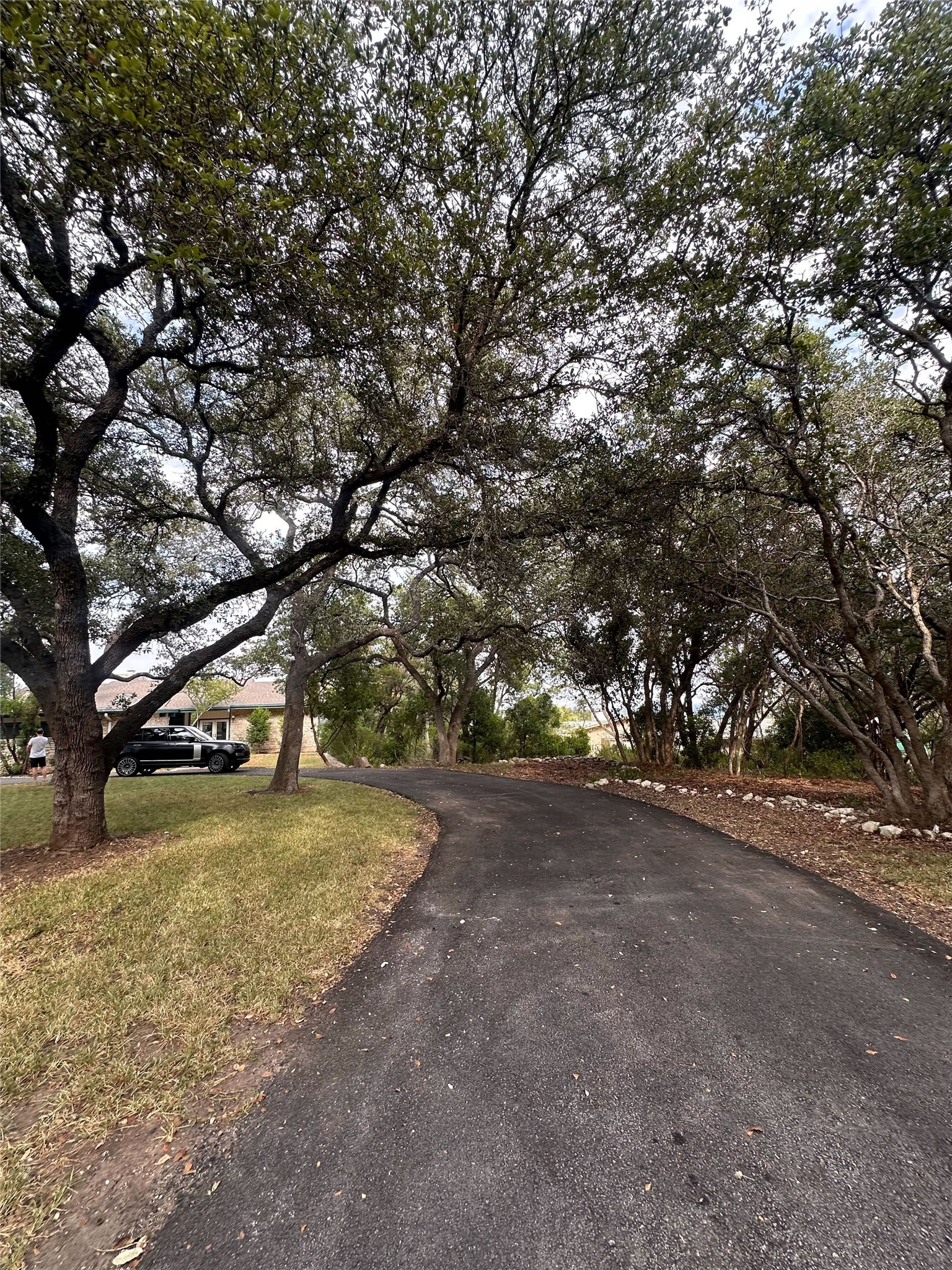 1302 Ridgecrest Drive Austin, TX 78746 - Photo 4 of 19 Mature trees arch over a winding paved driveway leading toward the residence.