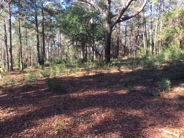 0 Pinewood Road Andalusia, AL 36420 - Photo 5 of 8 Gallery Image 5