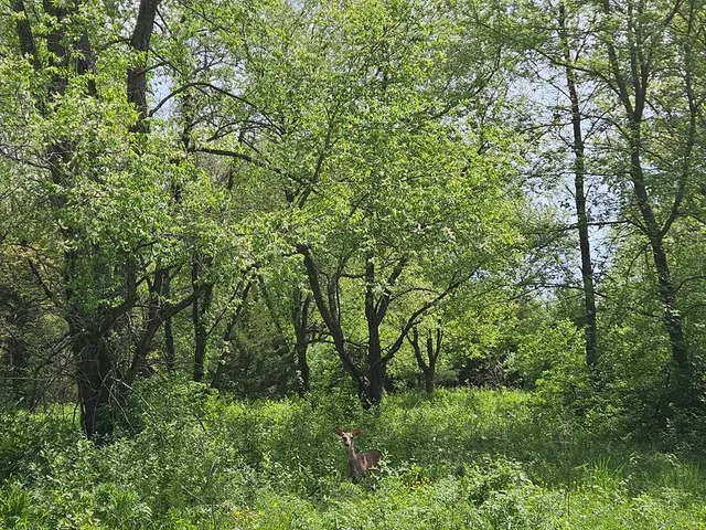 $3,500 | 226 Platte Drive, Dixon, IL 61021