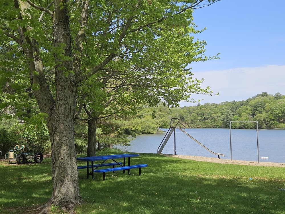 226 Platte Drive Dixon, IL 61021 - Photo 5 of 8