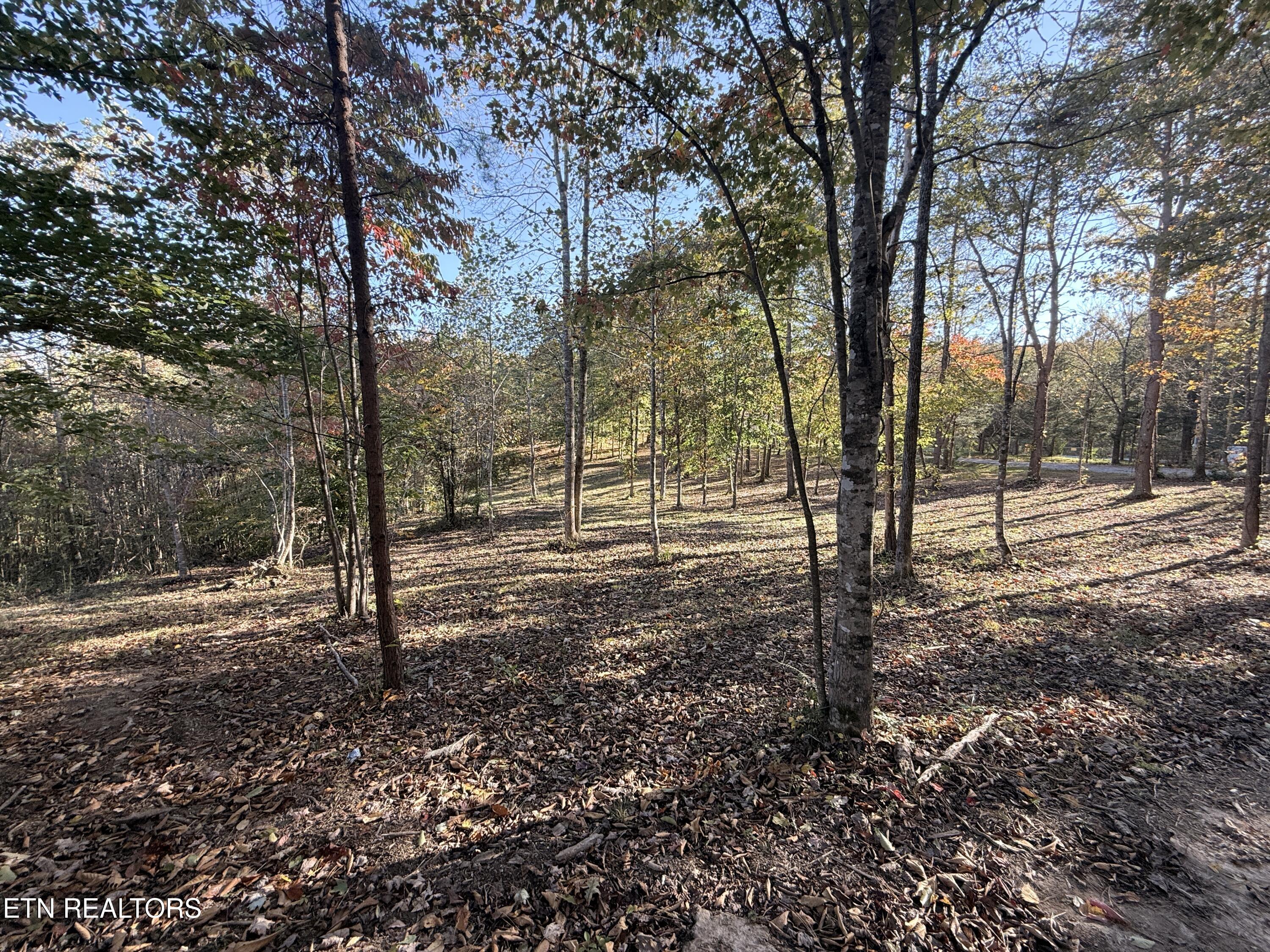 444 Roses Creek Road Clairfield, TN 37715 - Photo 35 of 48 Lower Property
