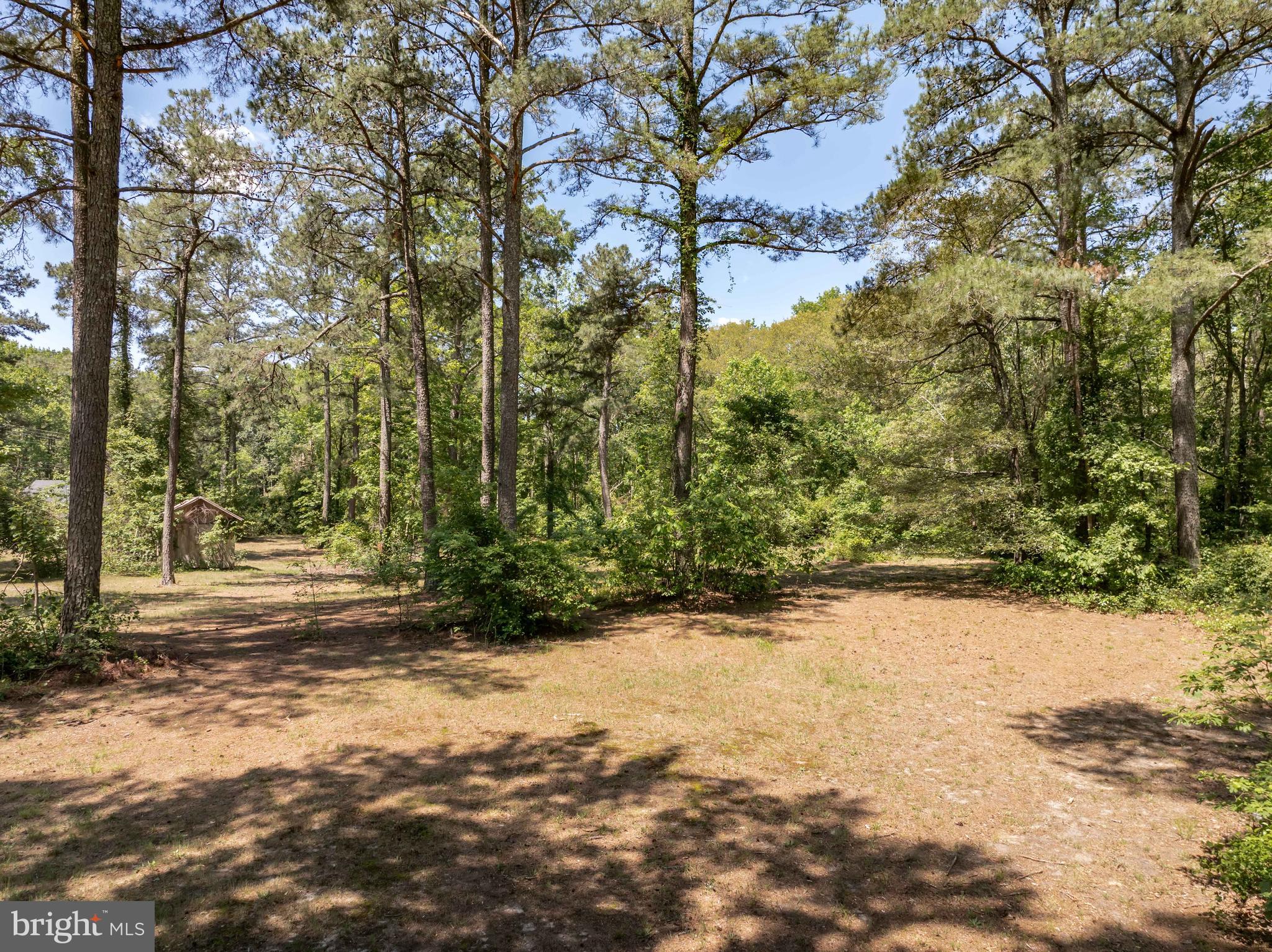6635 Libertytown Road Berlin, MD 21811 - Photo 72 of 88 a view of a yard with a tree