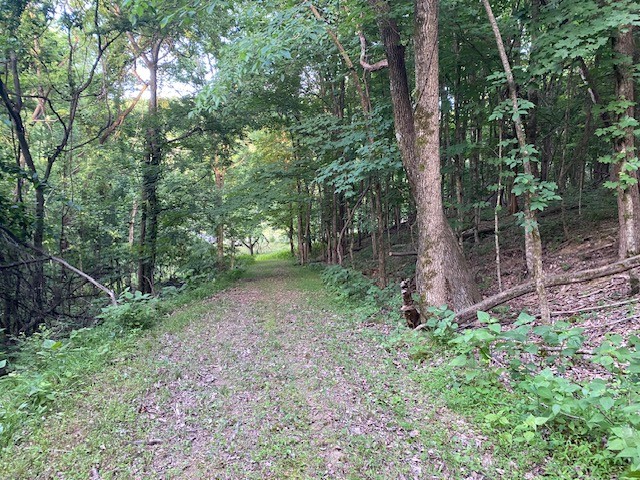 250 Hurt Road Hendersonville, TN 37075 - Photo 5 of 9 a view of a forest filled with trees
