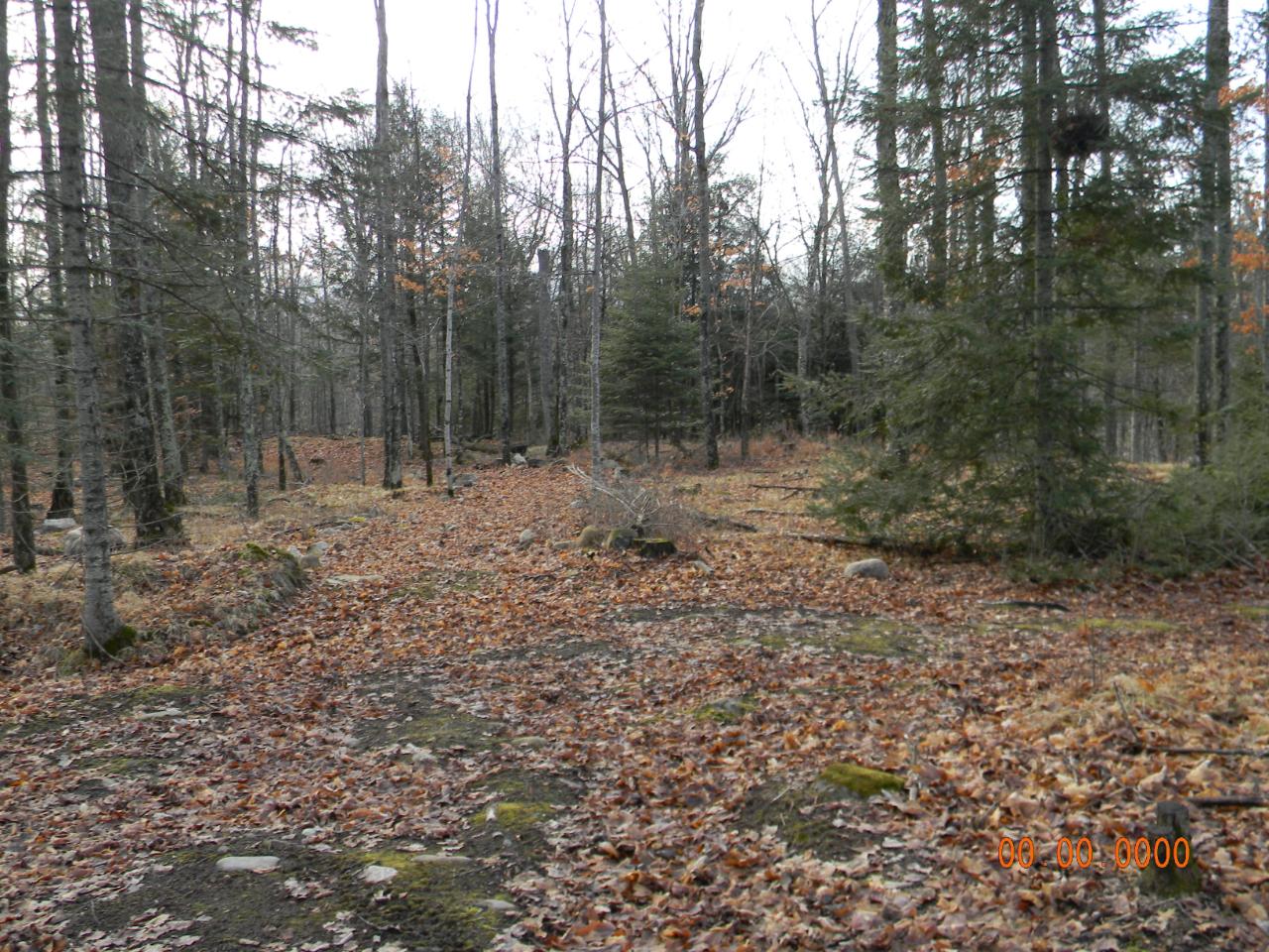 N7403 Begin Road Deerbrook, WI 54424 - Photo 23 of 66 Gallery Image 23