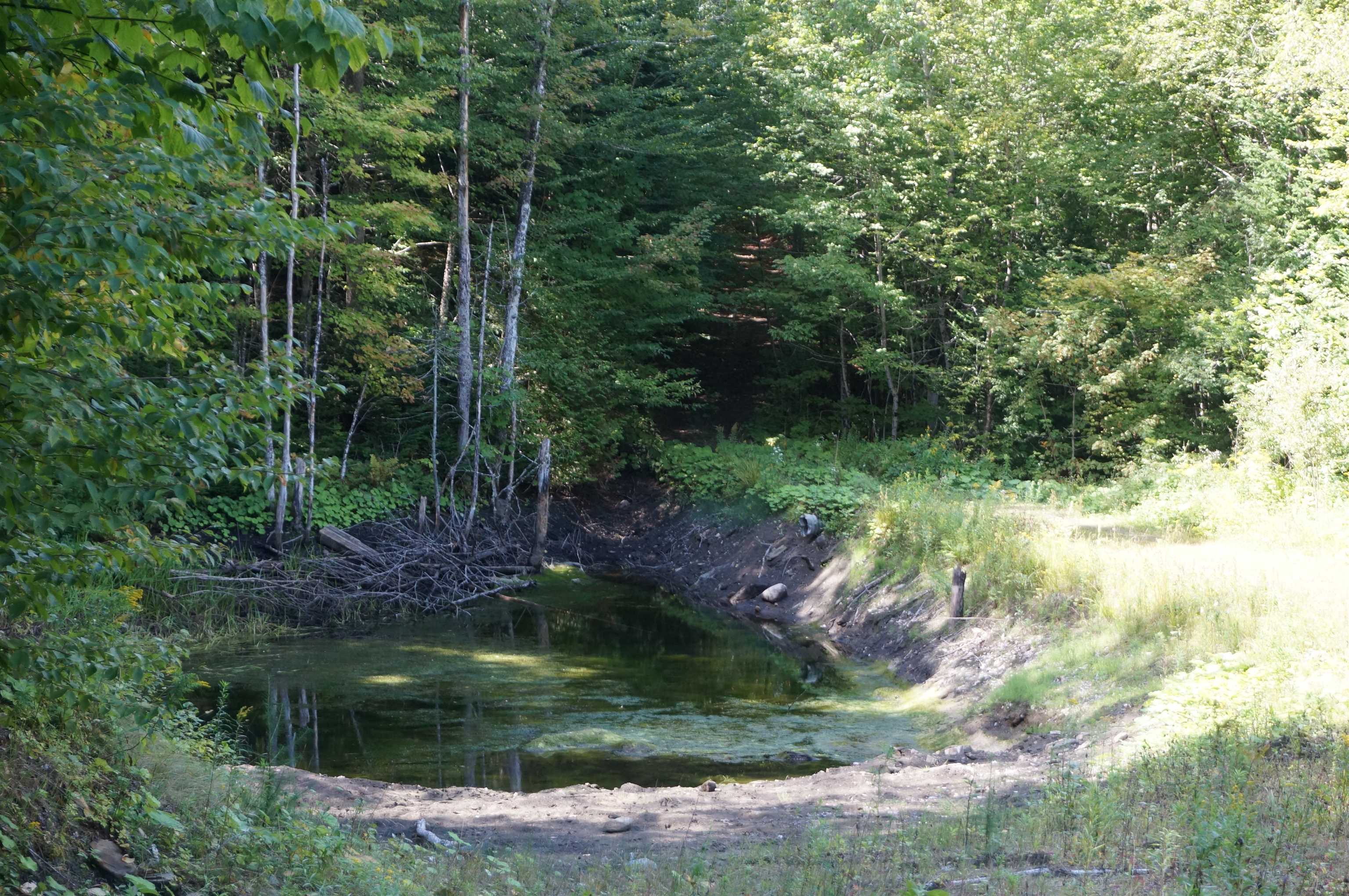 452 Vertical Mile Road Lyndonville, VT 05851 - Photo 20 of 21