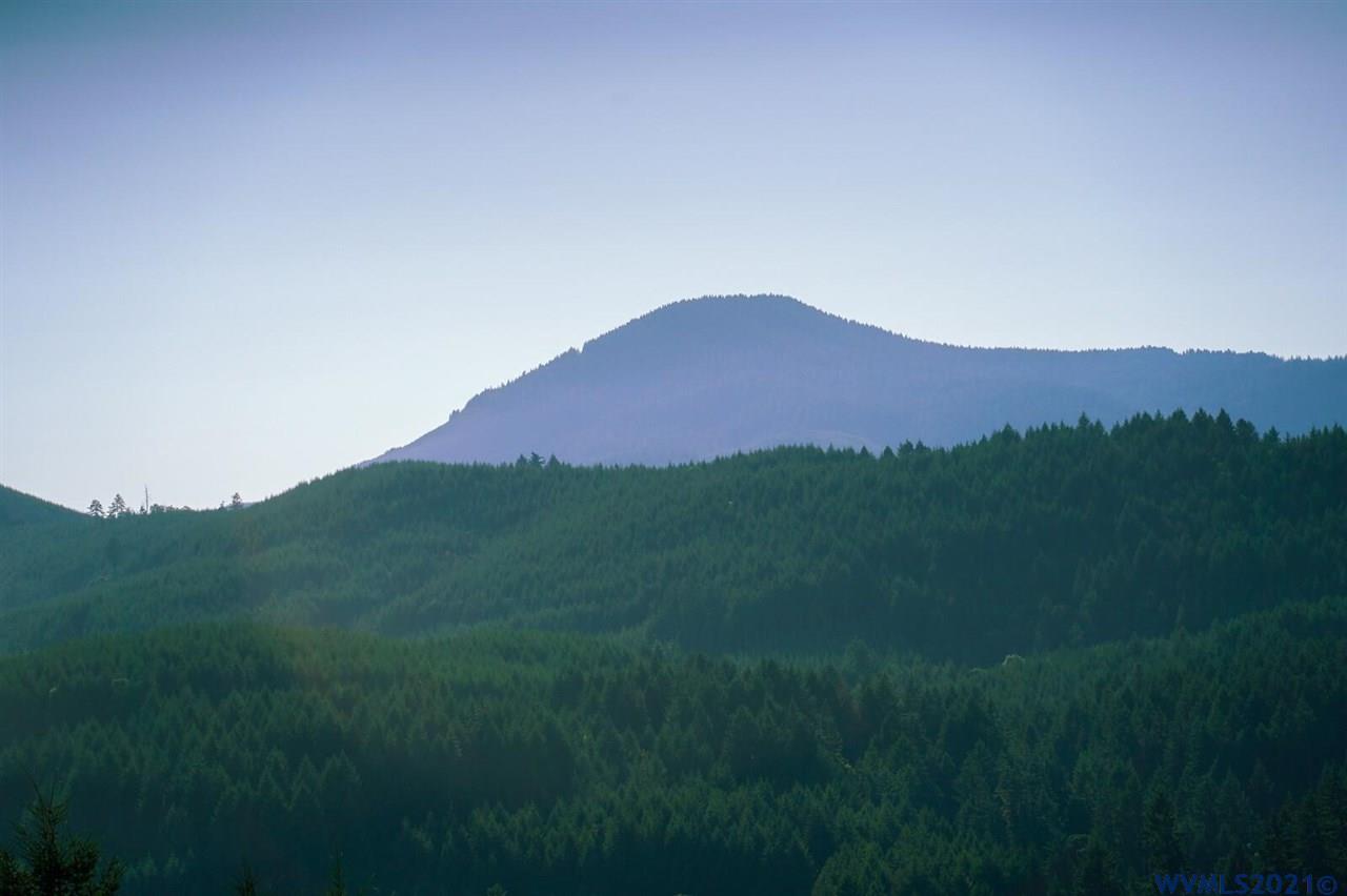 West Larson (lot 18) Road Monroe, OR 97456 - Photo 17 of 21