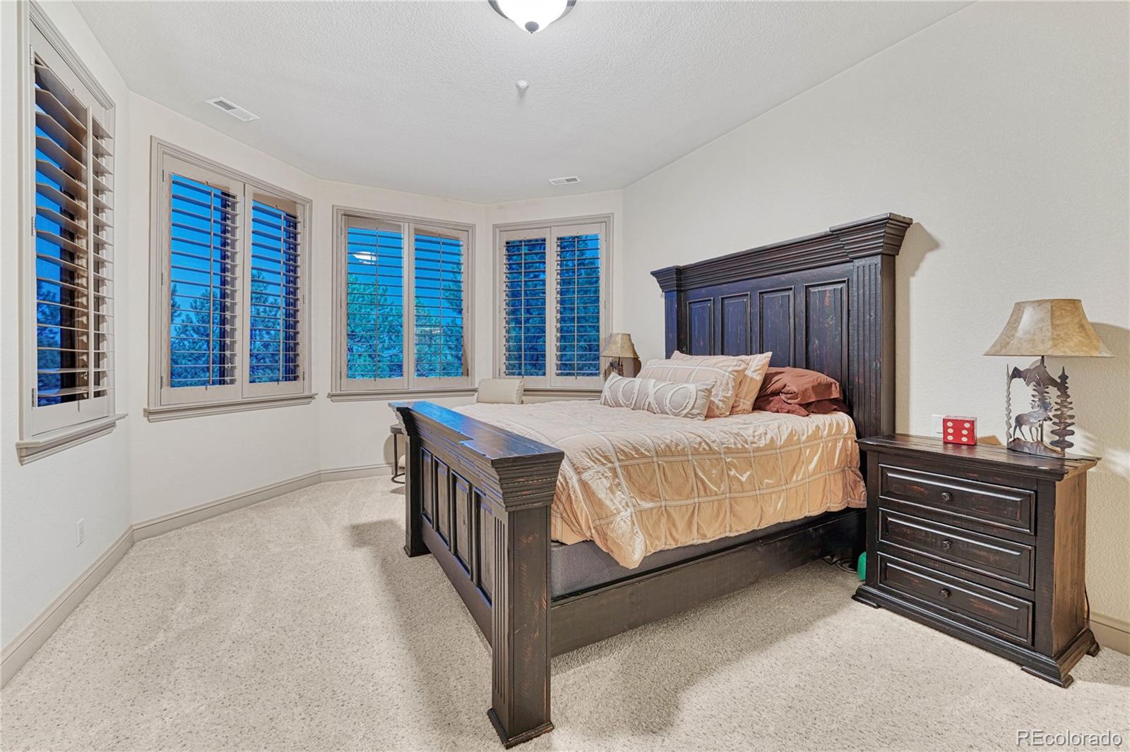 641 Ruby Trust Way Castle Rock, CO 80108 - Photo 33 of 50