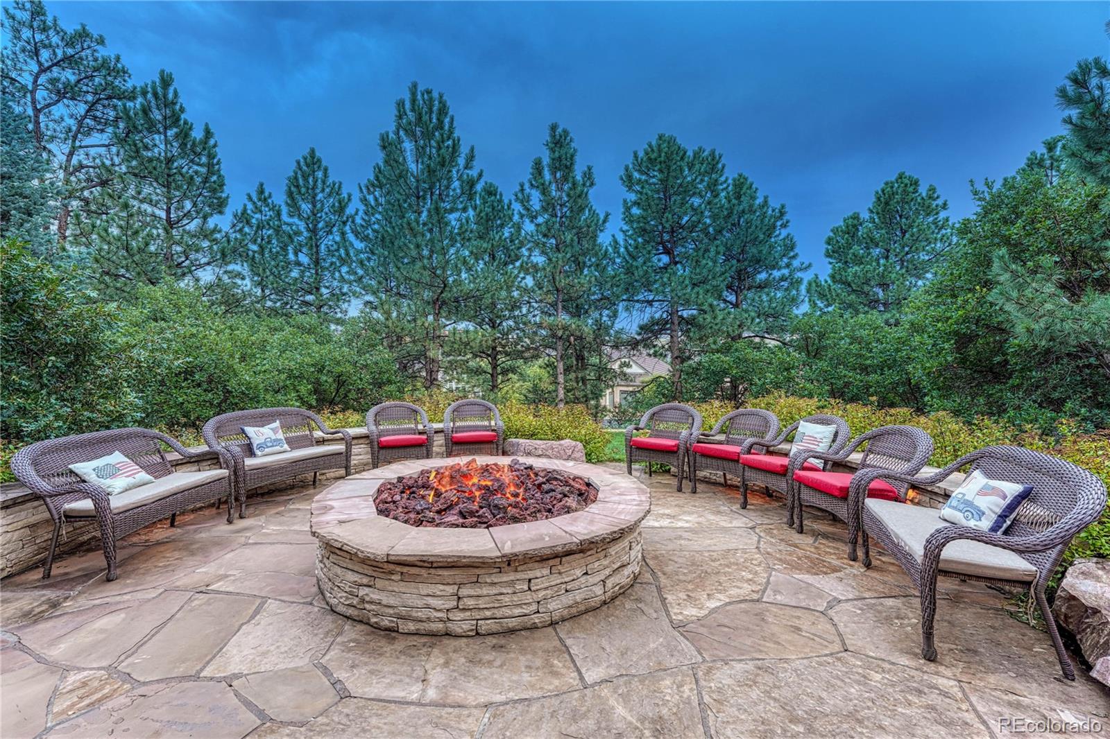 641 Ruby Trust Way Castle Rock, CO 80108 - Photo 40 of 50