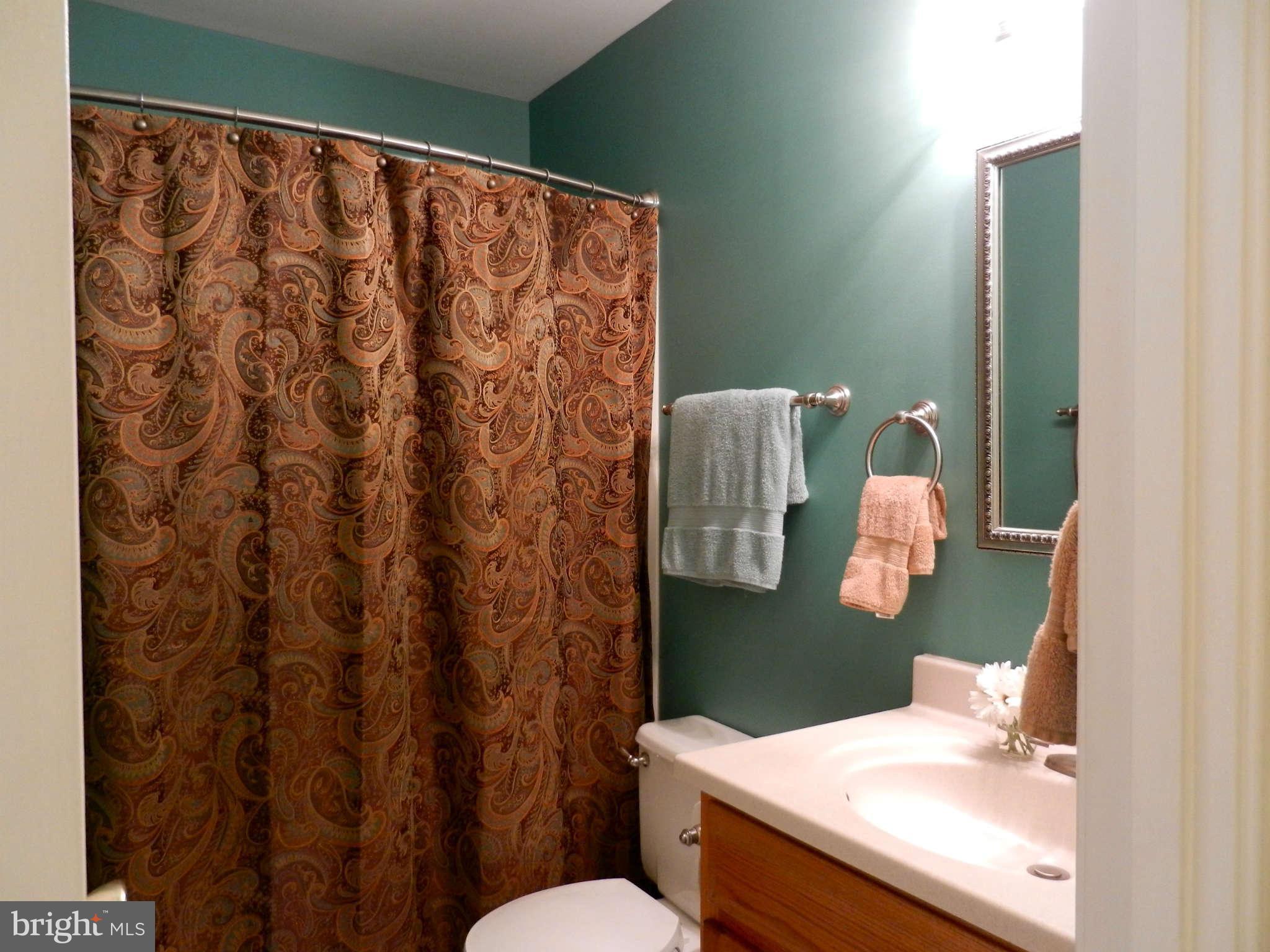 13334 Point Rider Lane Oak Hill, VA 20171 - Photo 19 of 30 Upper Bath