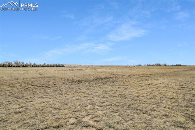 3402 Bar 10 Road Calhan, CO 80808 - Photo 29 of 35 Pasture Views