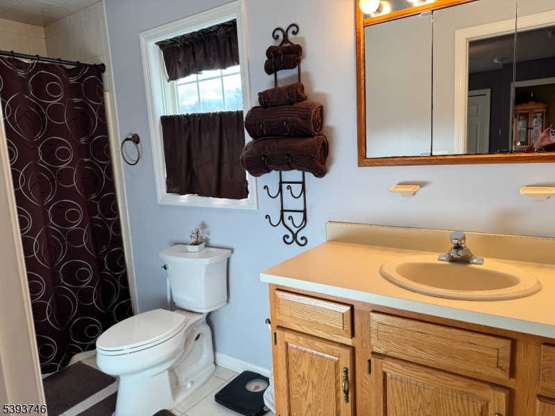 5 Twin Pond Road Montague, NJ 07827 - Photo 14 of 29 a bathroom with a sink and a toilet
