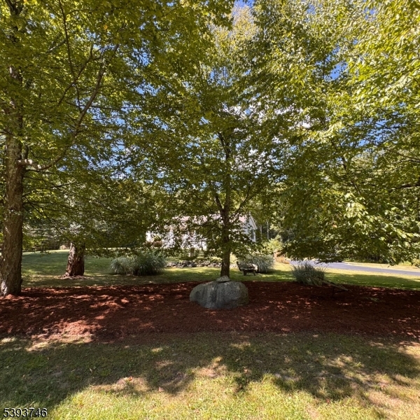 5 Twin Pond Road Montague, NJ 07827 - Photo 29 of 29 a view of water covered with trees
