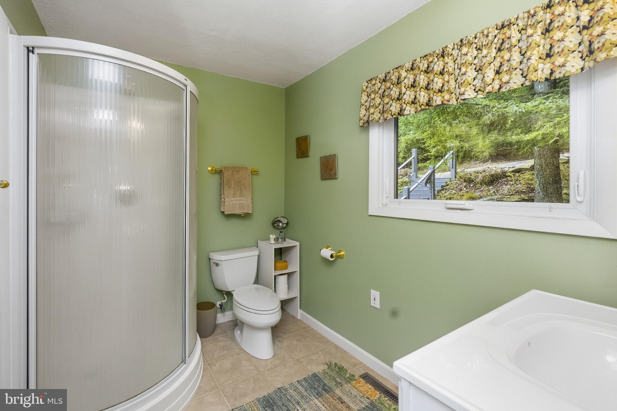3105 Shingle Camp Road McHenry, MD 21541 - Photo 39 of 84 Gallery Image 39