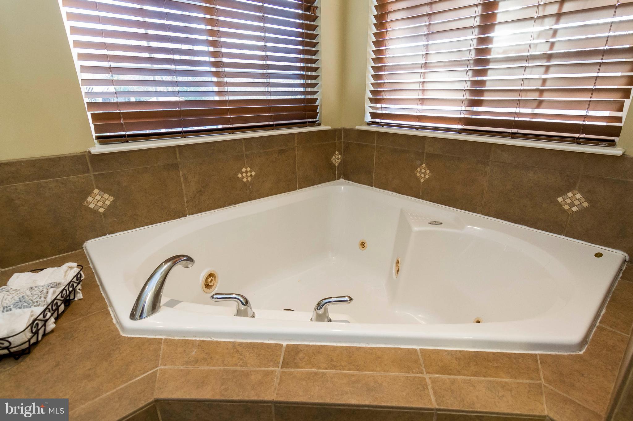 817 Kingsbrook Road Culpeper, VA 22701 - Photo 25 of 38 Jetted Tub