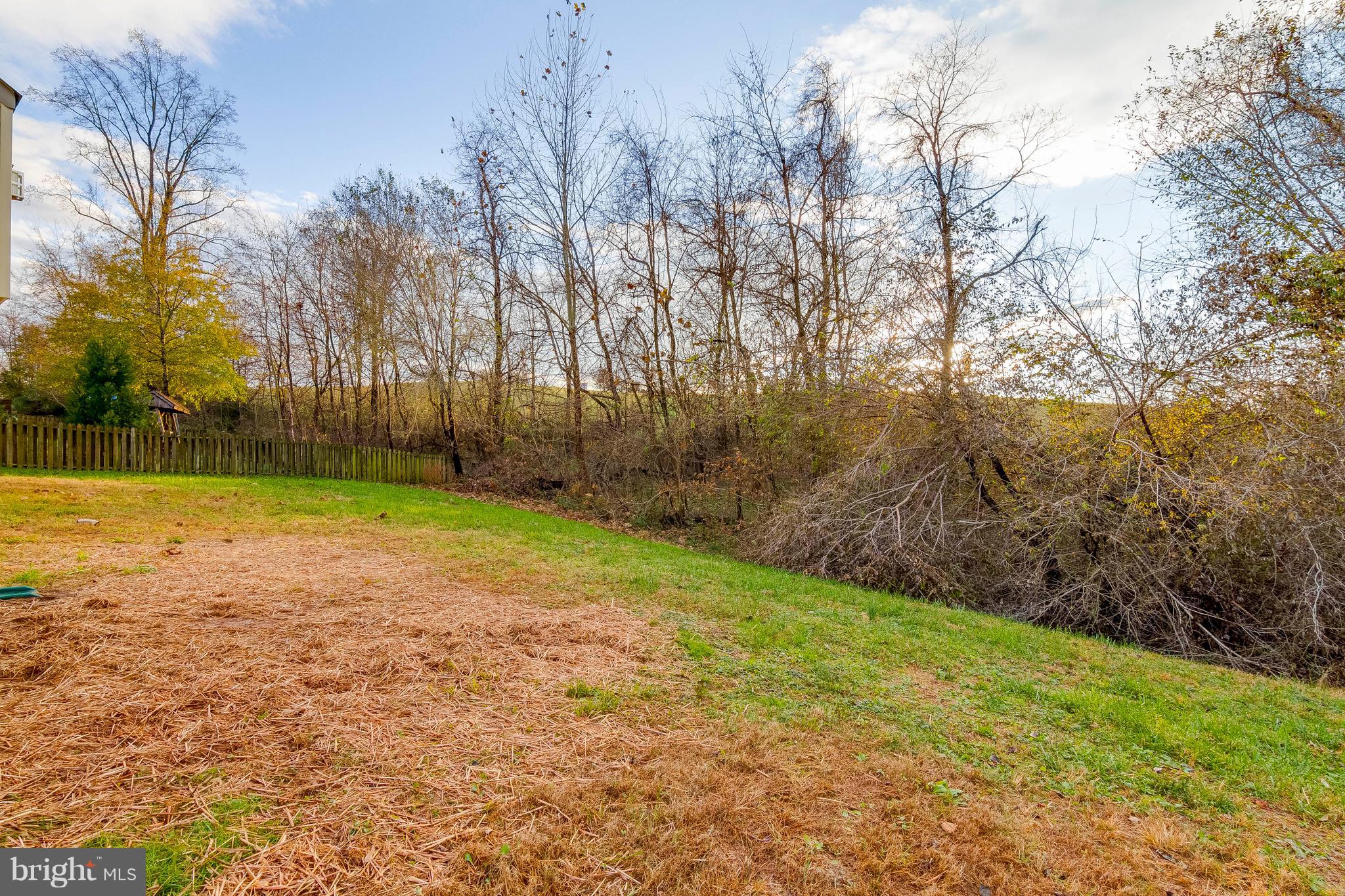 817 Kingsbrook Road Culpeper, VA 22701 - Photo 38 of 38 Backs to Wooded Area and Open Space