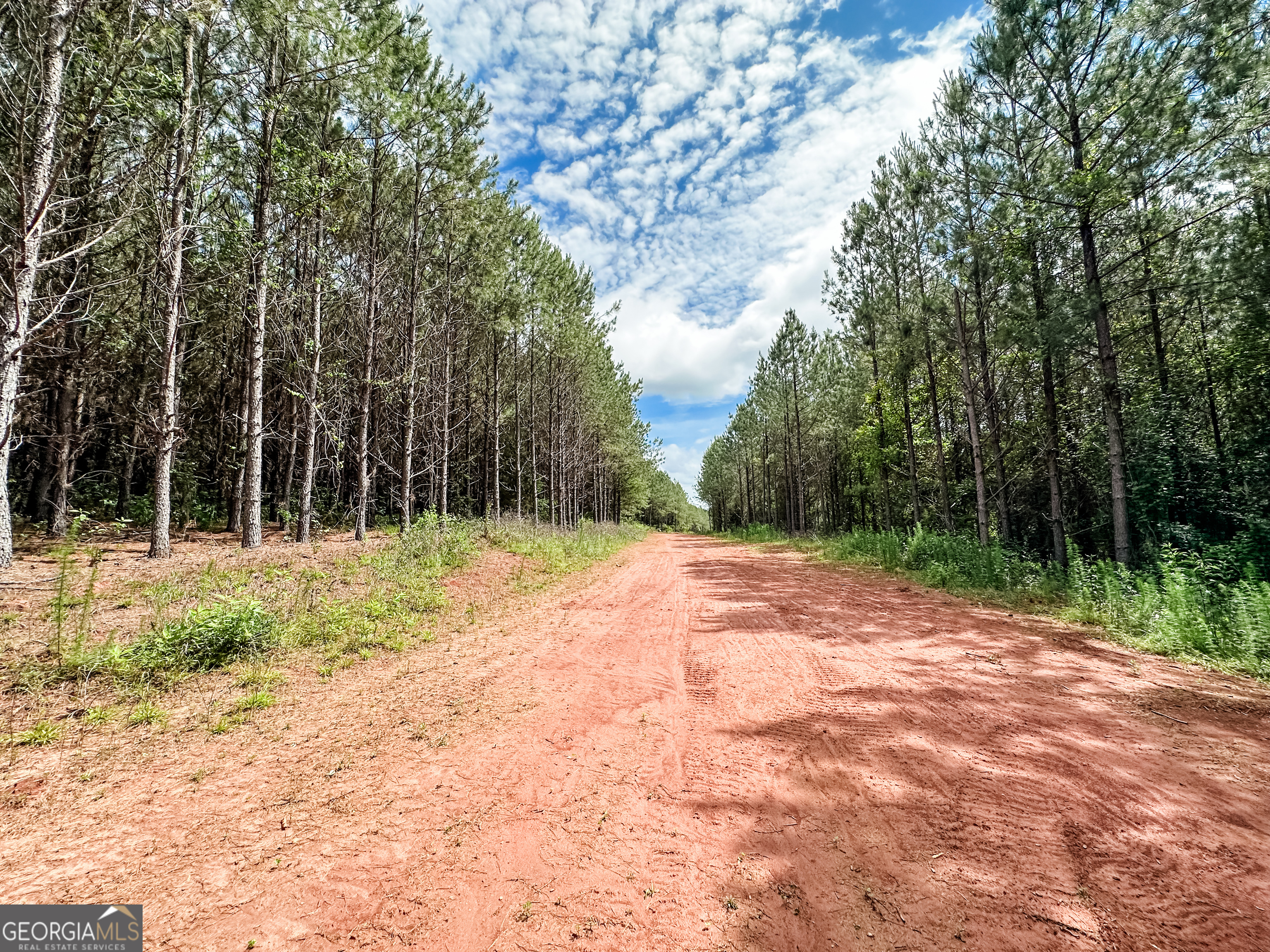 52.4-acres Goolsby Road, Unit 52 4 ACRES Monticello, GA 31064 - Photo 9 of 25