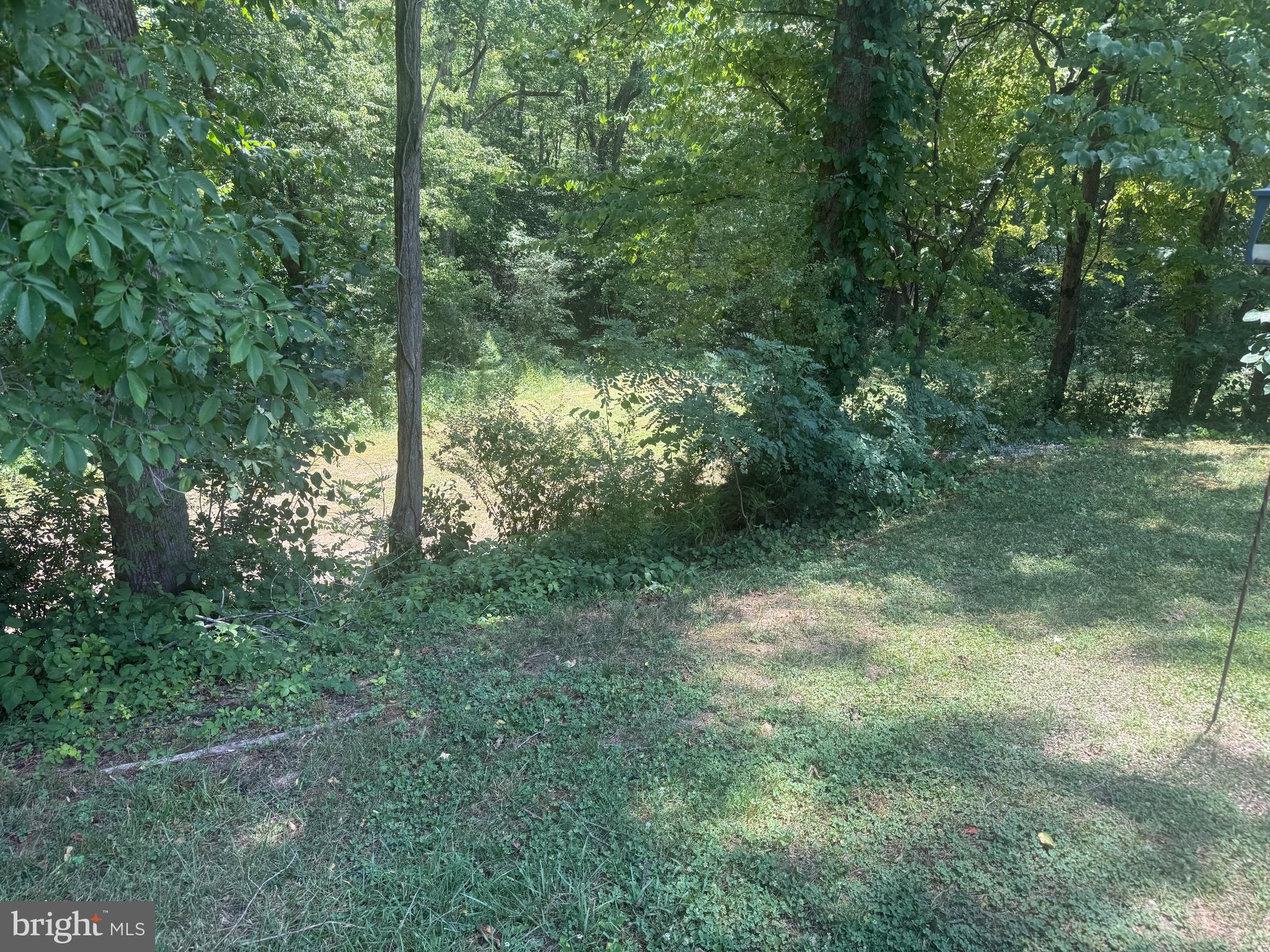 10143 Indiantown Road King George, VA 22485 - Photo 11 of 35 rear yard and second level