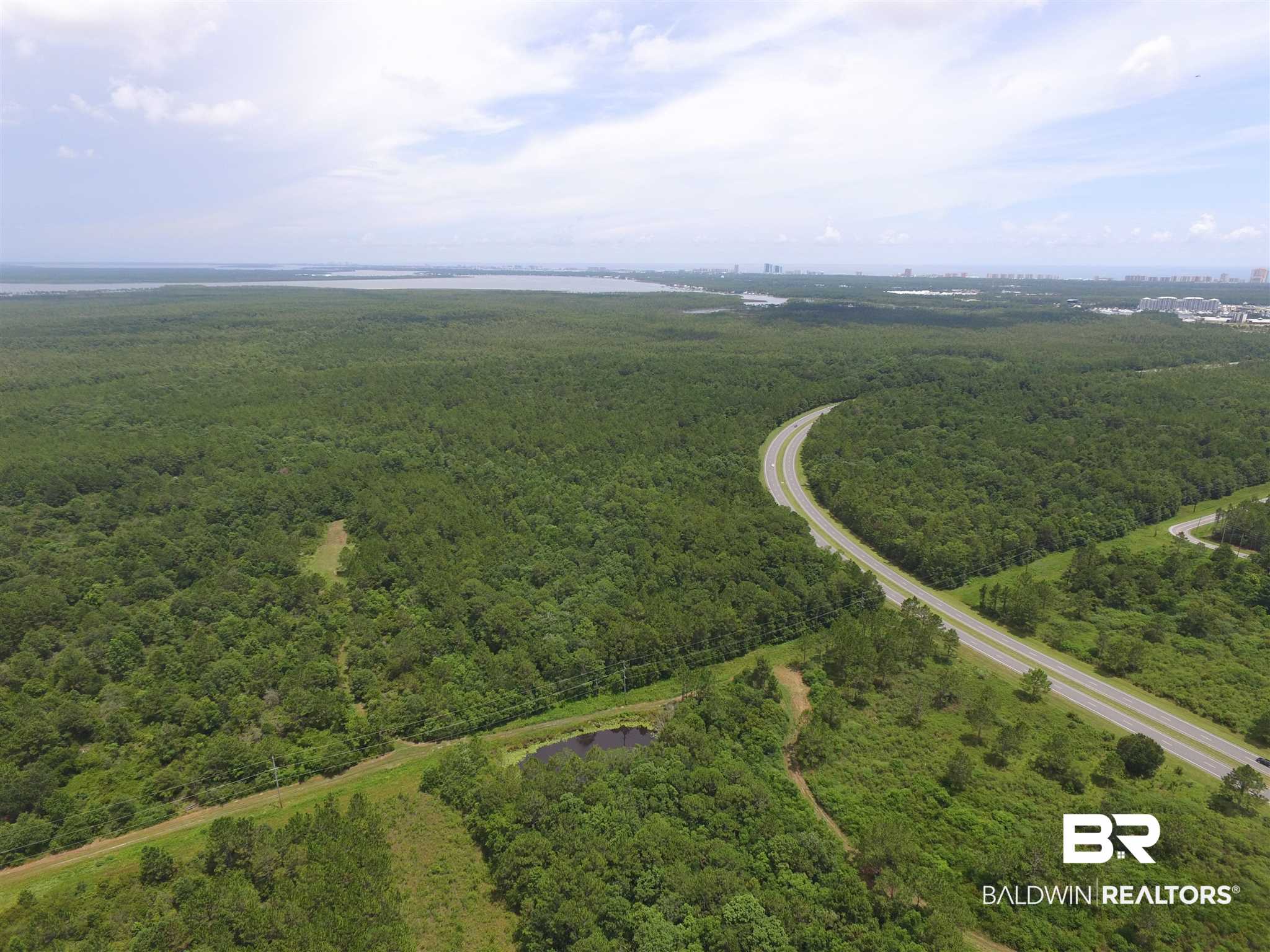 0 Baldwin Beach Expressway Gulf Shores, AL 36542 - Photo 6 of 11