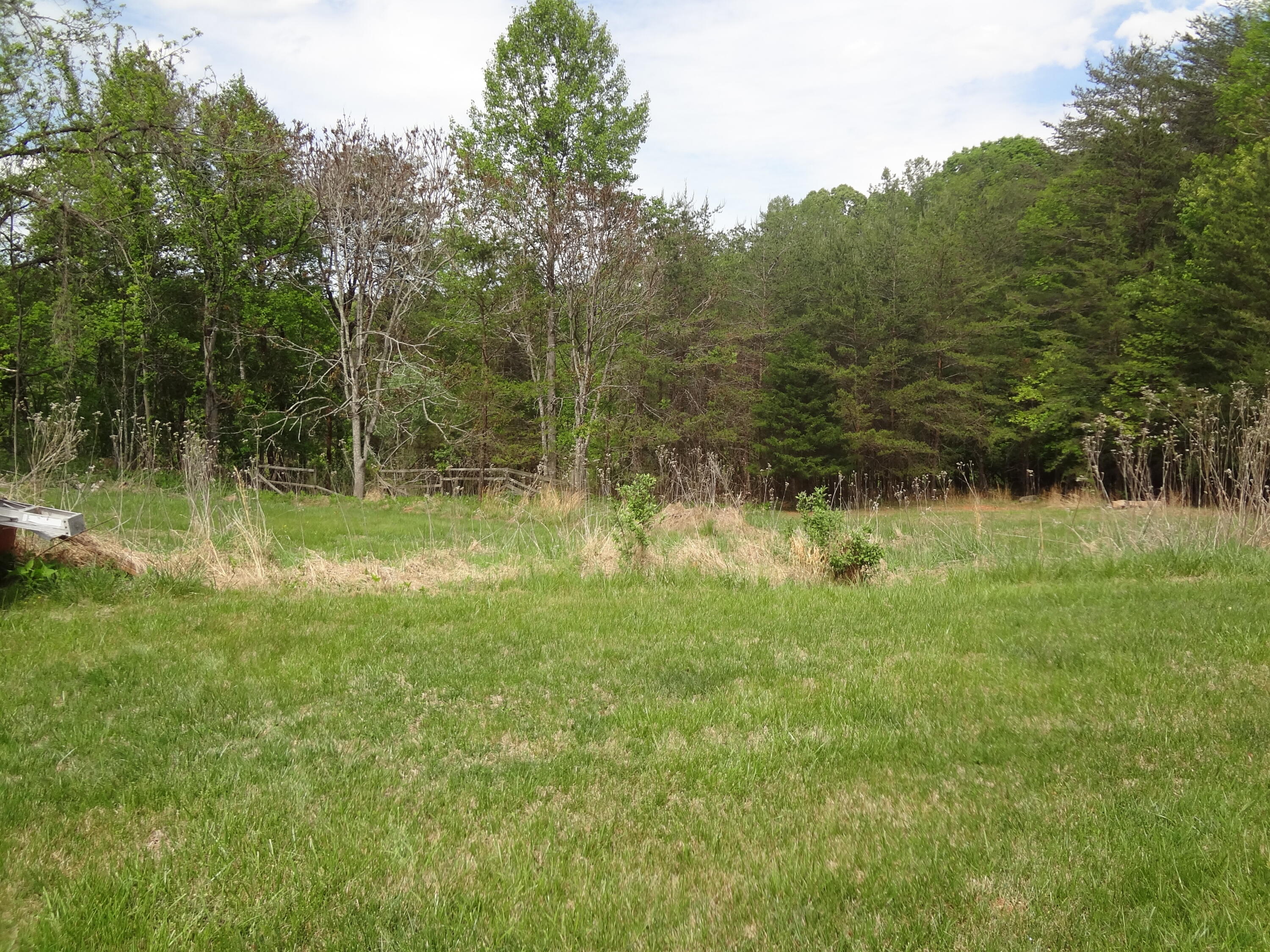 545 Black Rock Road Rocky Mount, VA 24151 - Photo 11 of 31 back yard 4