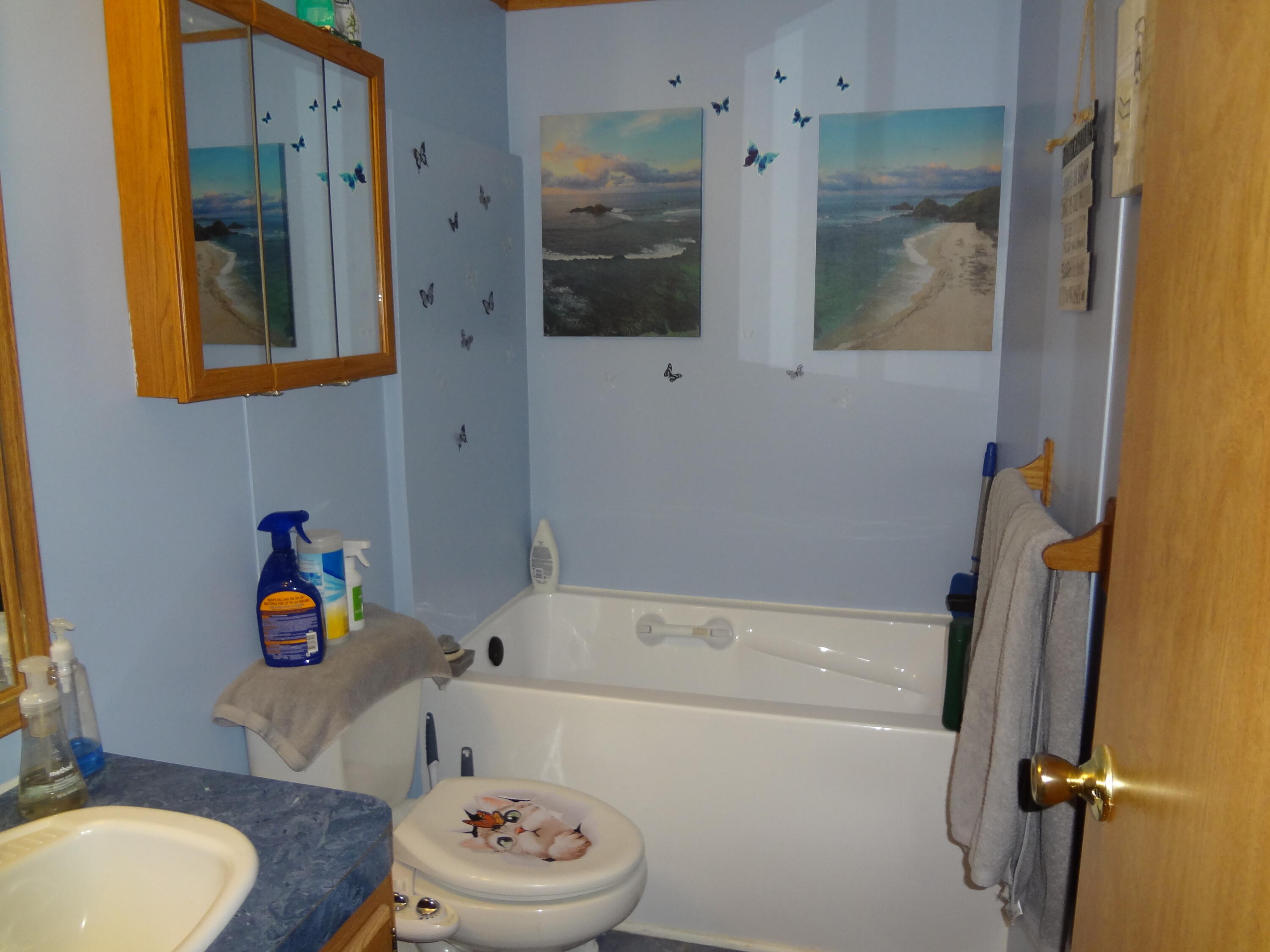 545 Black Rock Road Rocky Mount, VA 24151 - Photo 28 of 31 bathroom 2