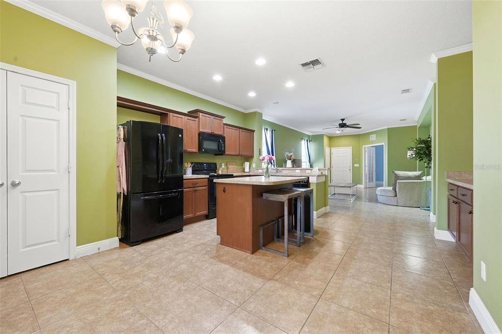 30235 Cheval Street Mount Dora, FL 32757 - Photo 8 of 42