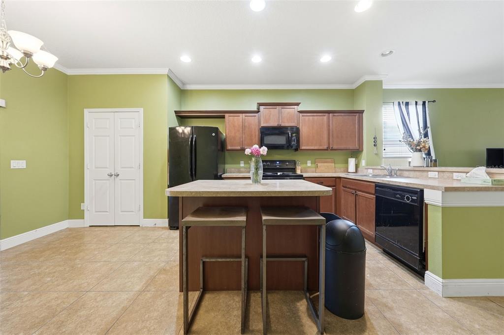 30235 Cheval Street Mount Dora, FL 32757 - Photo 9 of 42