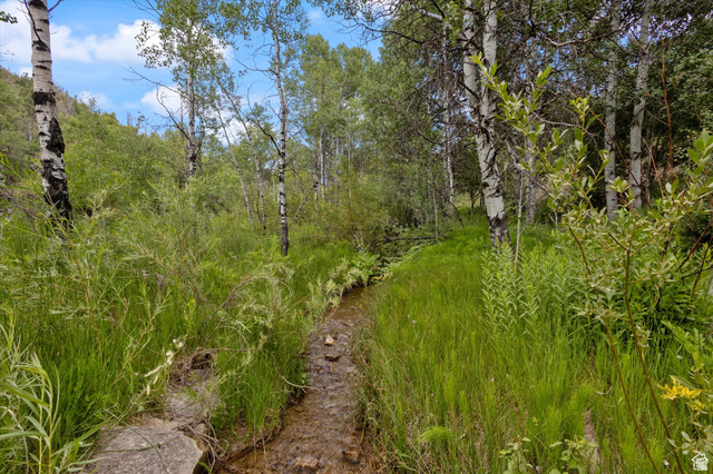 19845 North 14070 (north Fork Rd) Road East, Unit 313 Mount Pleasant, UT 84647 - Photo 20 of 39 The creek runs across the property along the east side of the deck and cabin.