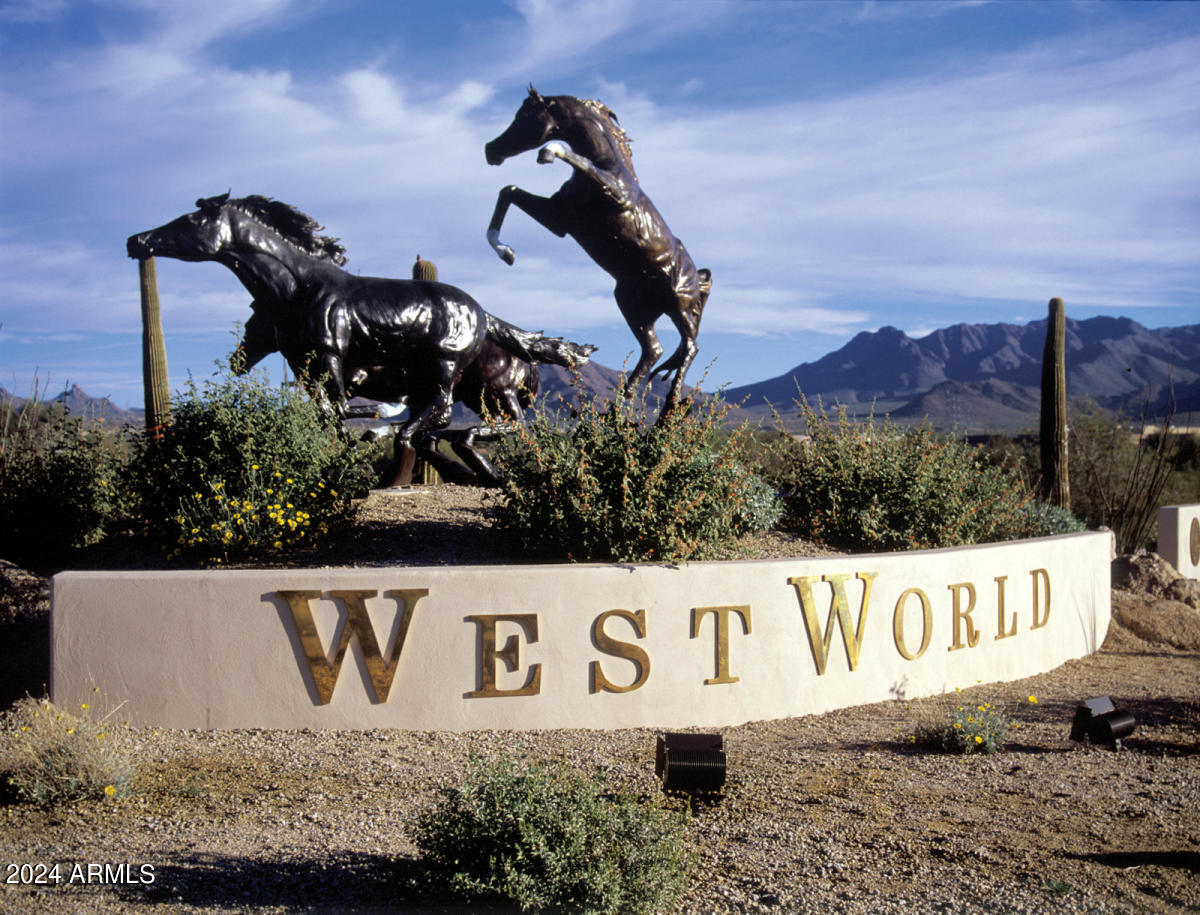 6910 East Phelps Road Scottsdale, AZ 85254 - Photo 35 of 35 westworld