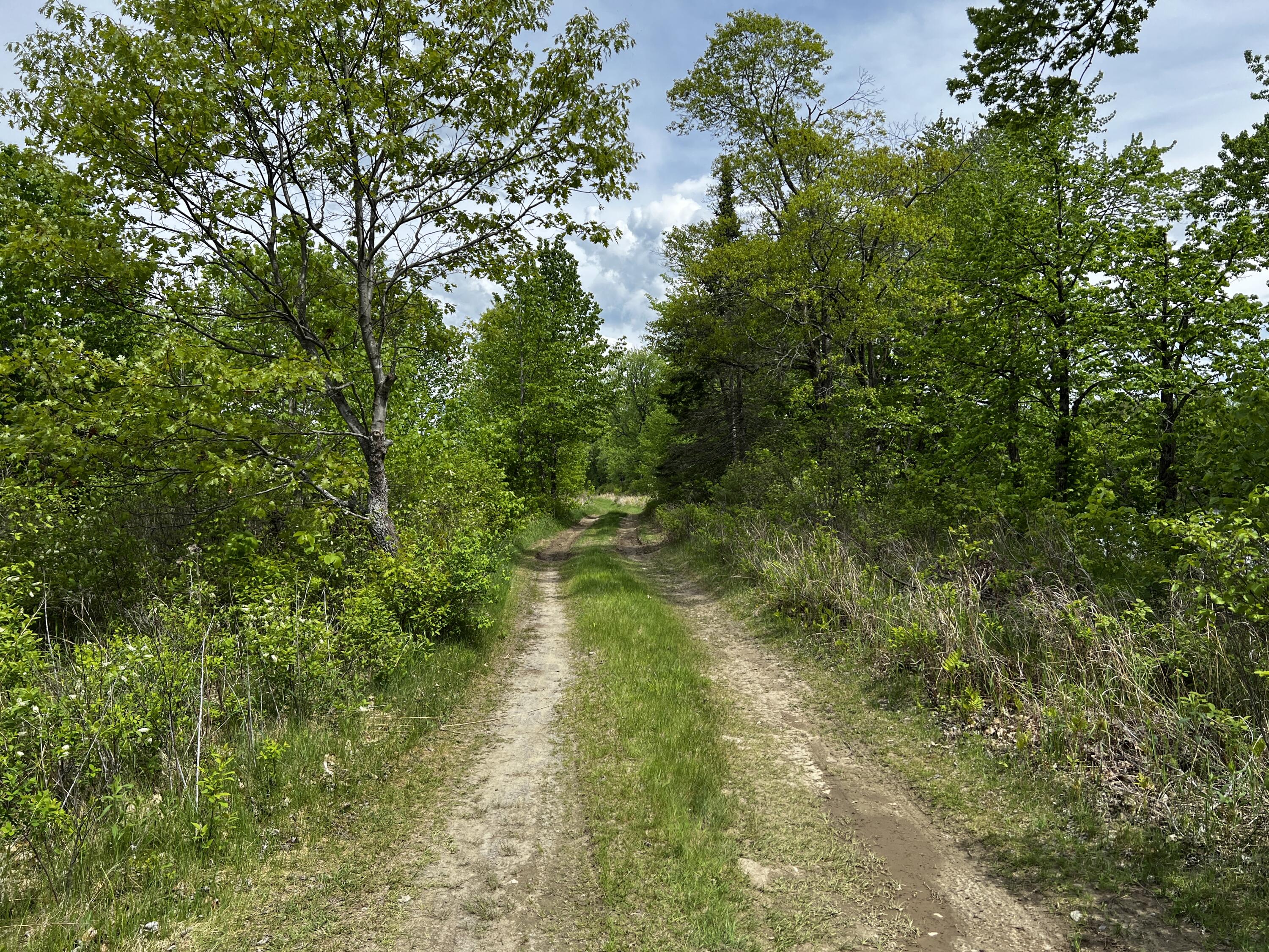 Lot 6 Emery Farm Road Medford, ME 04463 - Photo 8 of 27 IMG_4249