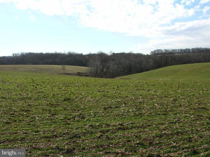 9626 Woodsboro Road Frederick, MD 21701 - Photo 3 of 3 Wooded/Acreage