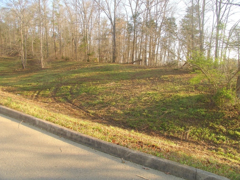 11 Pleasant Oaks Road Sevierville, TN 37876 - Photo 2 of 6