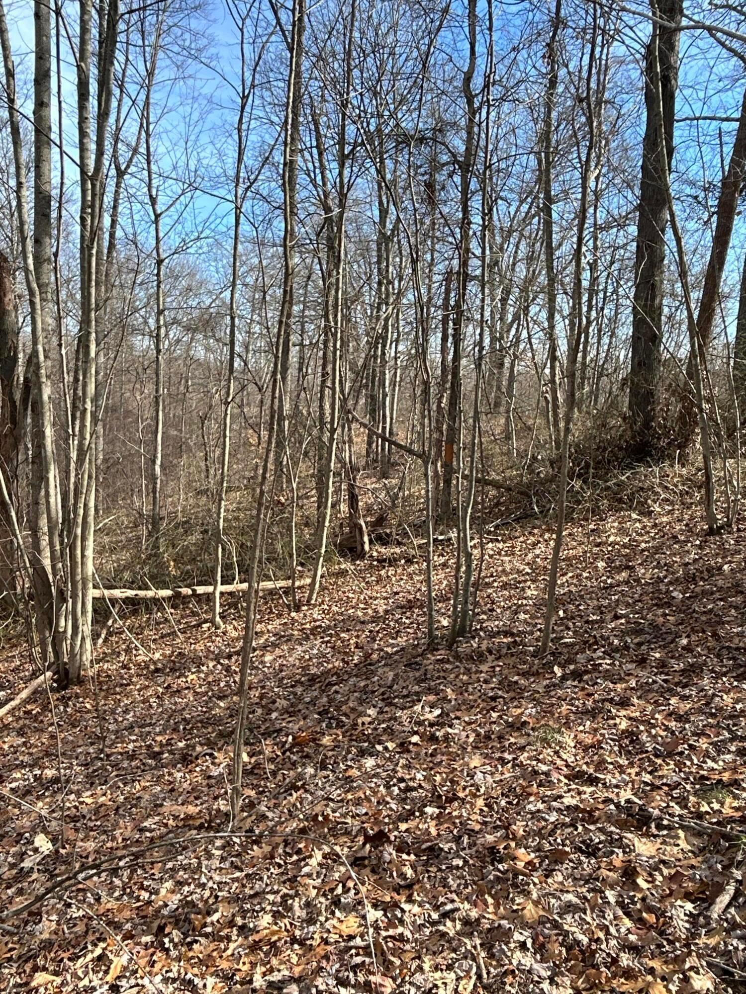 1020 Hunting Run Road, Unit C70 Lucasville, OH 45648 - Photo 11 of 48 p 11