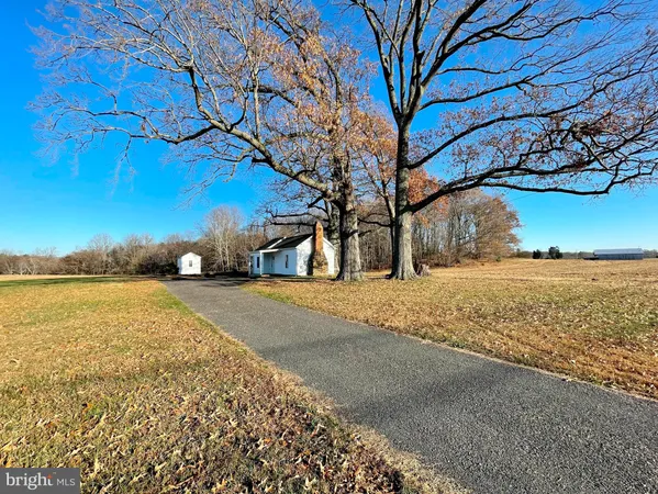 a view of road with large trees