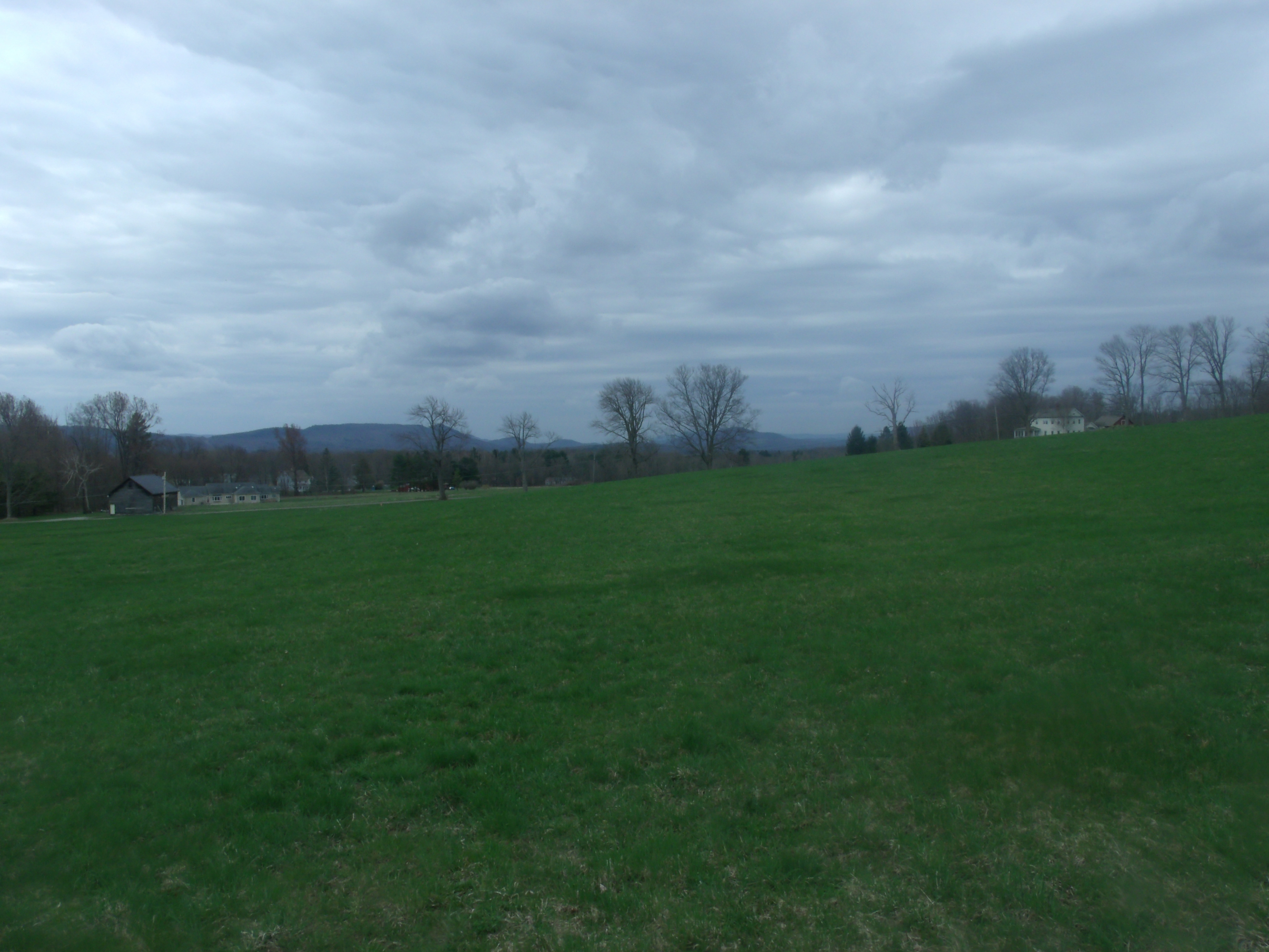 0 Perrys Peak Road Richmond, MA 01254 - Photo 1 of 7 a view of a green field with sitting in front of house