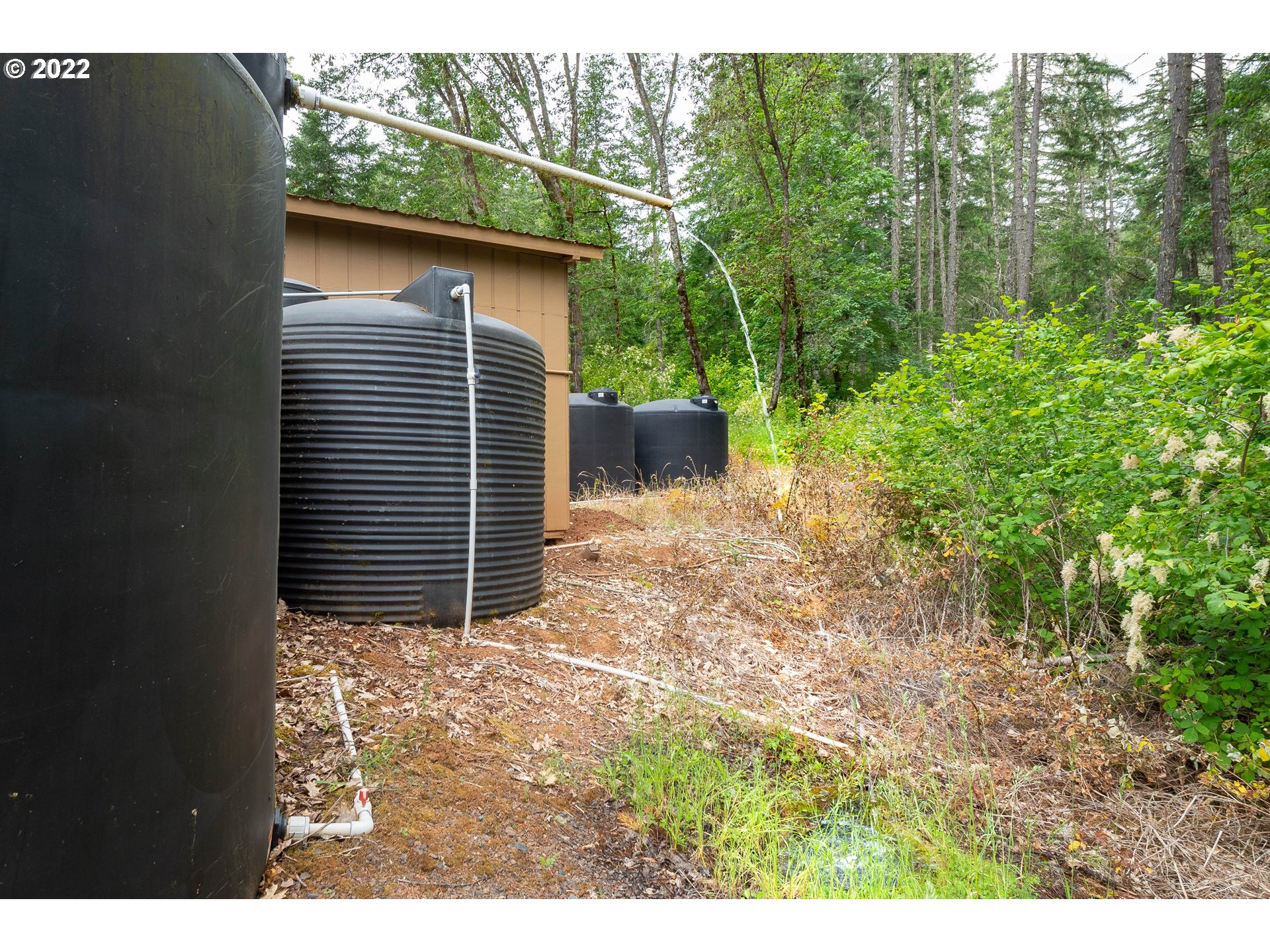 378 Racoon Road Oakland, OR 97462 - Photo 25 of 32 a view of a backyard with plants and large trees