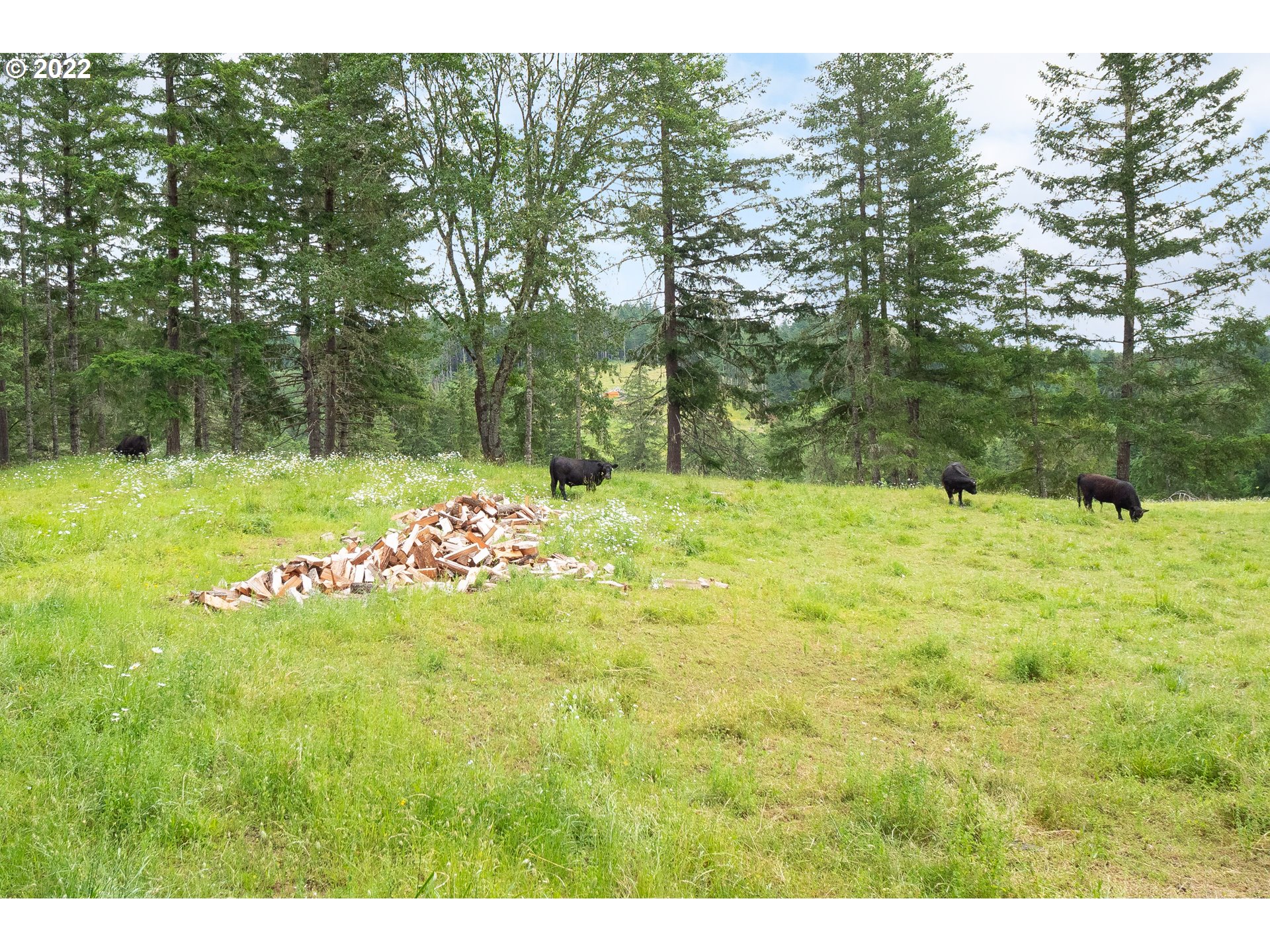 378 Racoon Road Oakland, OR 97462 - Photo 28 of 32 a view of swimming pool with a yard
