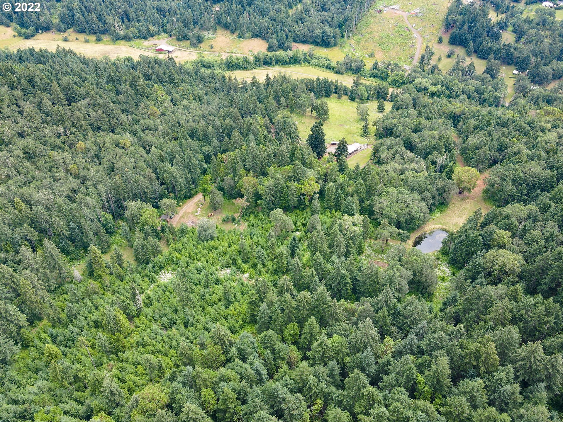 378 Racoon Road Oakland, OR 97462 - Photo 32 of 32 a view of a forest with a houses