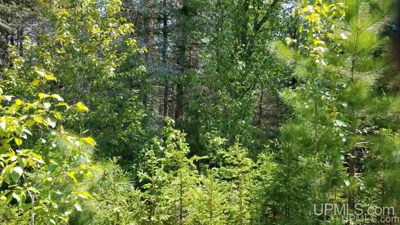 Tbd North Angeli Road, Unit 15 Iron River, MI 49935 - Photo 9 of 15