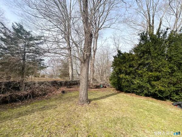 a view of a yard with large trees