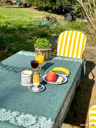 a view of a yard with large trees