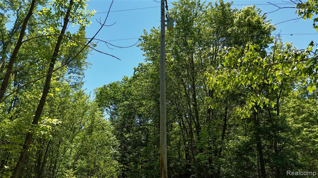 0 Williams Road Gaines, MI 48436 - Photo 20 of 28
